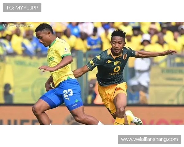 巴西热门体育联赛比（巴西足球联赛2021）sports